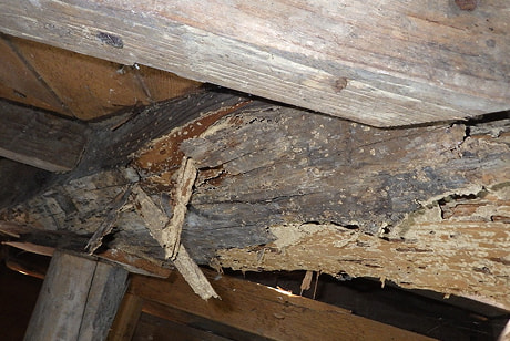 腐食と劣化が進んだ木製の梁の被害状況